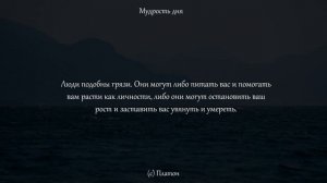 Ученик Сократа и учитель Аристотеля. Платон. Цитаты, афоризмы и мудрые мысли