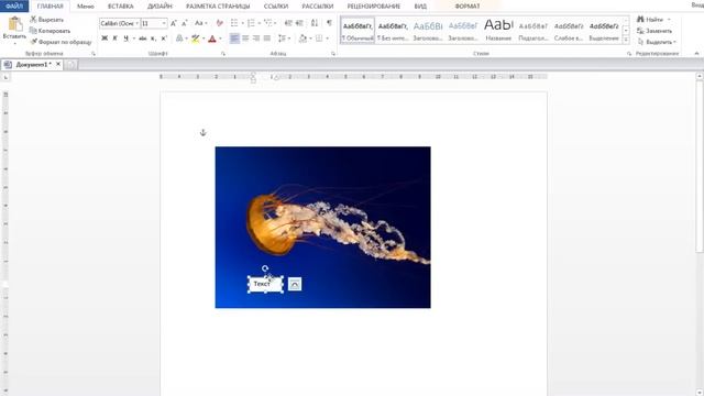 Как вставить текст в картинку в Ворде? смотреть онлайн