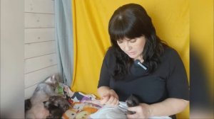 Кошки. Докармливаем котят ликоев козьим молоком. Из жизни ликоев от Taro-Tarot Perira Norway