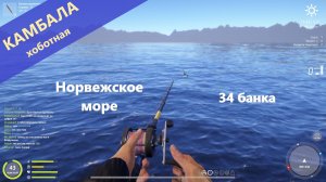 Русская рыбалка 4 - Норвежское море - Камбала хоботная: подбираю ключик