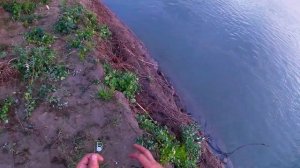 Лещ на фидер. Рыбалка на самодельные бойлы.