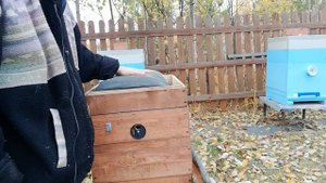 Вентиляция ульев зимой. - Как избежать влаги в ульях.