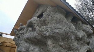 дом на дереве , декоративная кора из арт бетона старое дерево из арт бетона.,