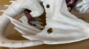 93 | Harry Potter Funko Pop | Gringotts Dragon POP! Ride