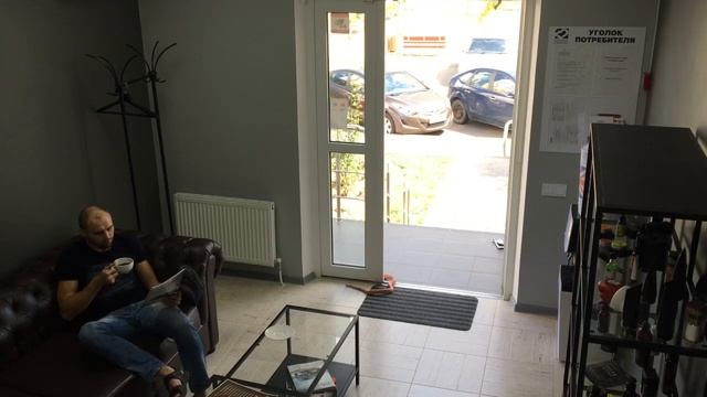 Змея заползла в салон мужских стрижек#Краснодар смотреть онлайн