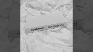 Я и твой кот