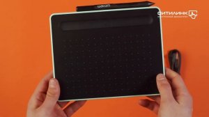Обзор Обзор графического планшета WACOM Intuos CTL-4100WLE-N А6 | Ситилинк | Ситилинк