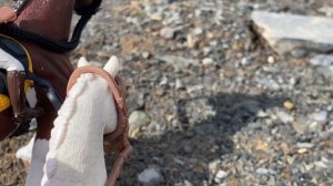 Шляйх сериал//«Чёрно белая любовь»