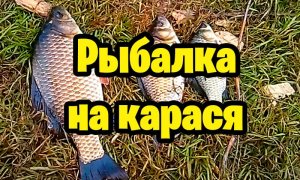 Рыбалка на карася