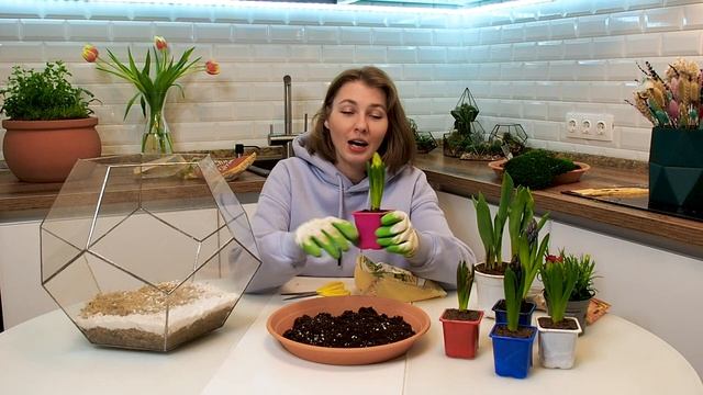 Как создать флорариум с суккулентами и луковичными. Дизайн с луковичными. Флорариум своими руками. смотреть онлайн