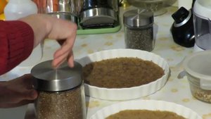 Проращиваем семена льна и чиа