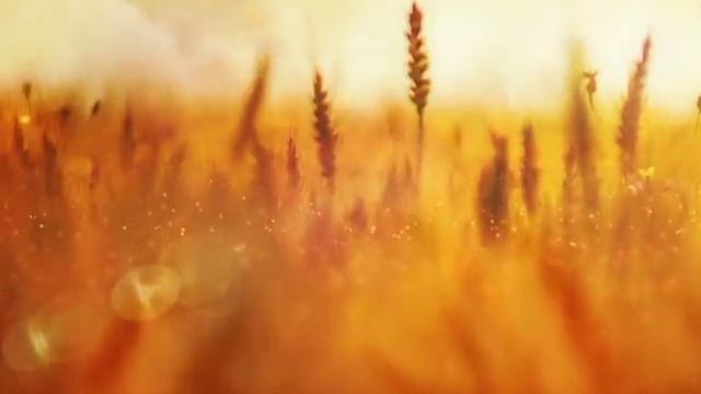 Bless The Lord Christian Worship Video Motion Background | Sharefaith.com смотреть онлайн