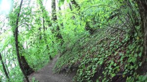 Тропа здоровья - малое кольцо - Роза Хутор Сочи 2016