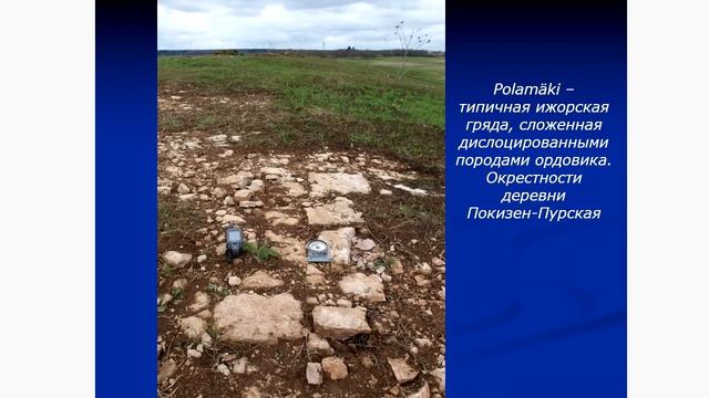 Геологическая история Ижоры (рассказывает Михаил Никитин) смотреть онлайн