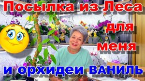 Корни орхидеи будут расти! Мох для орхидеи Ваниль.  РАСПАКОВКА ПОСЫЛКИ от Добрых друзей!