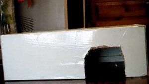 как сделать домик для черепахи