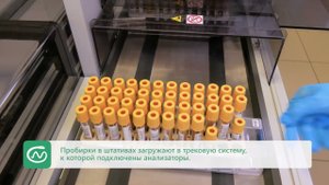 Анализы в «СМ-Клиника»: от сдачи до результатов