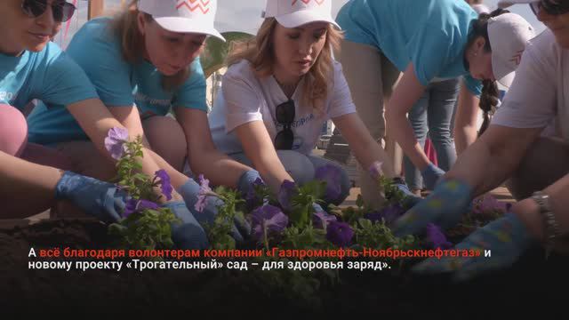 «ТРОГАТЕЛЬНЫЙ» САД – ДЛЯ ЗДОРОВЬЯ ЗАРЯД»