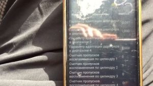 ВАЗ 21214 _ 2131 НИВА нормальные показатели двигателя.mp4