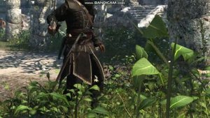 Assassin creed black flag как найти забыьые сокровища