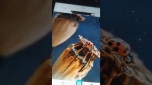 Foap продажа фотографий . Можно заработать 20$,50$