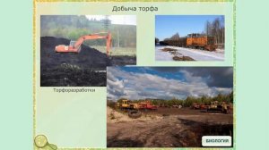 Образование и использование торфа