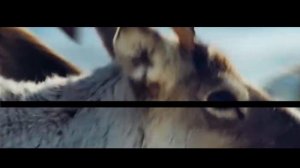 Животный мир тундры#животные#тундра