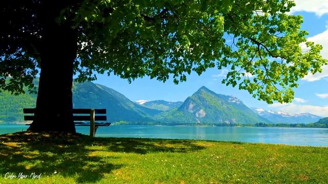 Нежная музыка, успокаивает нервную систему и радует душу ? лечебная музыка для сердца и сосудов #1 смотреть онлайн