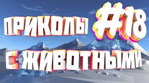 Приколы с животными | Приколы угары | Засмеялся подписался #18