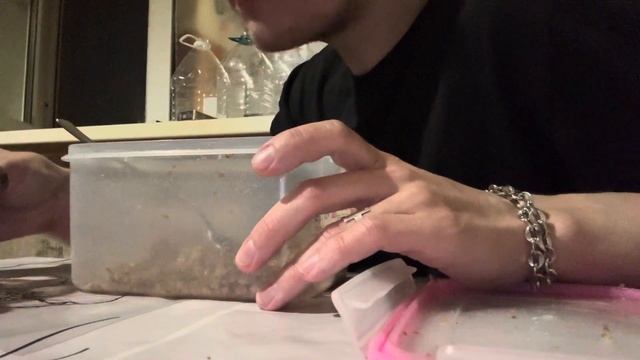 МУКБАНГ НОЧНОЙ ОБЖОР ПРОСТО ПОКУШАЙТЕ НОРМАЛЬНО ПЕРЕД СНОМ смотреть онлайн