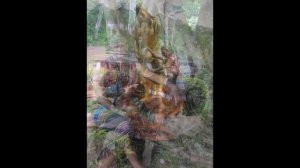 270 Вьетнам Далат НАЦИОНАЛЬНЫЙ ПАРК ПРЕНН селфи в КОСТЮМЕ ВОЖДЯ Da Lat Prenn Park Selfie DRIVER SUI