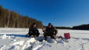 НОЧУЕМ в ИЗБЕ на ТАЁЖНОМ ОЗЕРЕ. ТОЛКАЧ УРАГАН ТАЙГА по ГЛУБОКОМУ СНЕГУ. Проверяем жерлицы. Часть №2