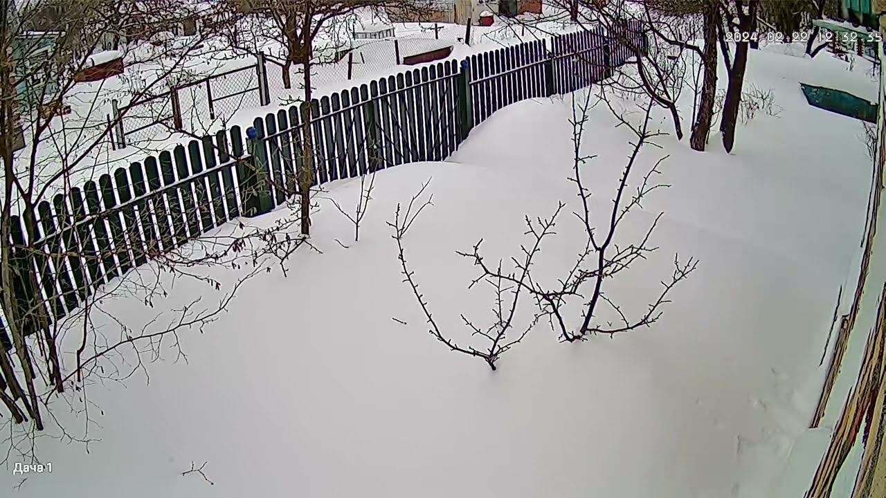 Ласка смотреть онлайн