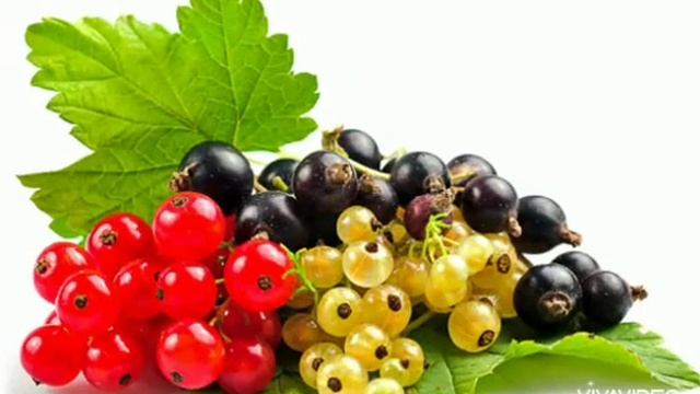 Полезные таблицы для дачника Подписывайтесь на наш канал https://youtu.be/4hQI8Y-dzcE смотреть онлайн