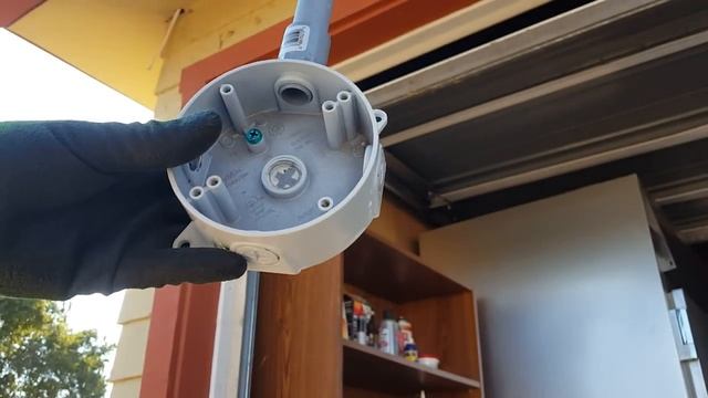 Get Rid of Skunks and Possums in Your Garden смотреть онлайн