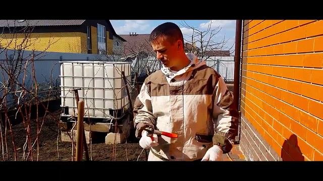 Весенняя обрезка малины и уход за ней