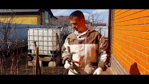 Весенняя обрезка малины и уход за ней