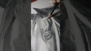 How to draw Horse Veins|| How to draw Blood Vessels|| Easy Drawing|| Pencil Art|| Realistic Drawing