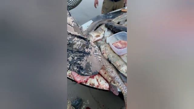 устали таскать на спиннинг щук смотреть онлайн