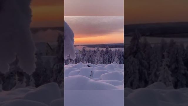 зима | снег