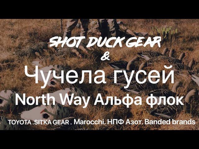 Чучела гусей North Way: ОБЗОР. Идеальные чучела белолобого гуся (на мой взгляд) - Софтпласт Альфа!