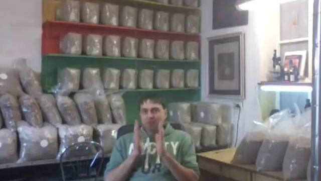 ВЕШЕНКА Почему сохнут примордии? Ошибки при изготовлении блоков смотреть онлайн