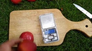 Плуот Гео Прайд (Geo Pride)  10.08.2022, Київська область, Біла церква.