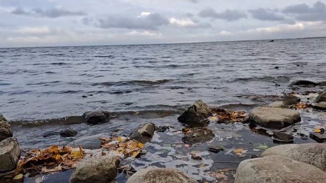 Асмр расслабляющие звуки природы. Asmr relaxing sounds of nature