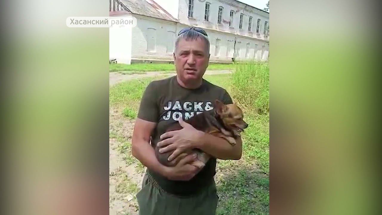 Срочно нужен приют для бездомных животных в одном из районов Приморья