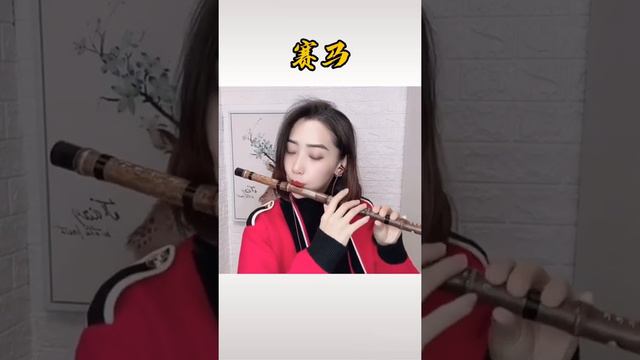 【横吹玉笛】系列第288首 气质美女动人演绎经典怀旧歌曲《赛马》 смотреть онлайн