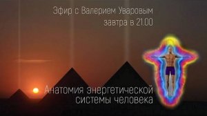 Анатомия энергетической системы человека