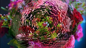 Розы Любви!мр4