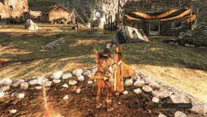 Dark Souls II: Scholar Of The First Sin 60 fps. "Третий взгляд" :)
