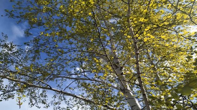 7 мая. ДЕНЬ ЕВСЕЯ.Народные приметы. Что нельзя и что можно делать